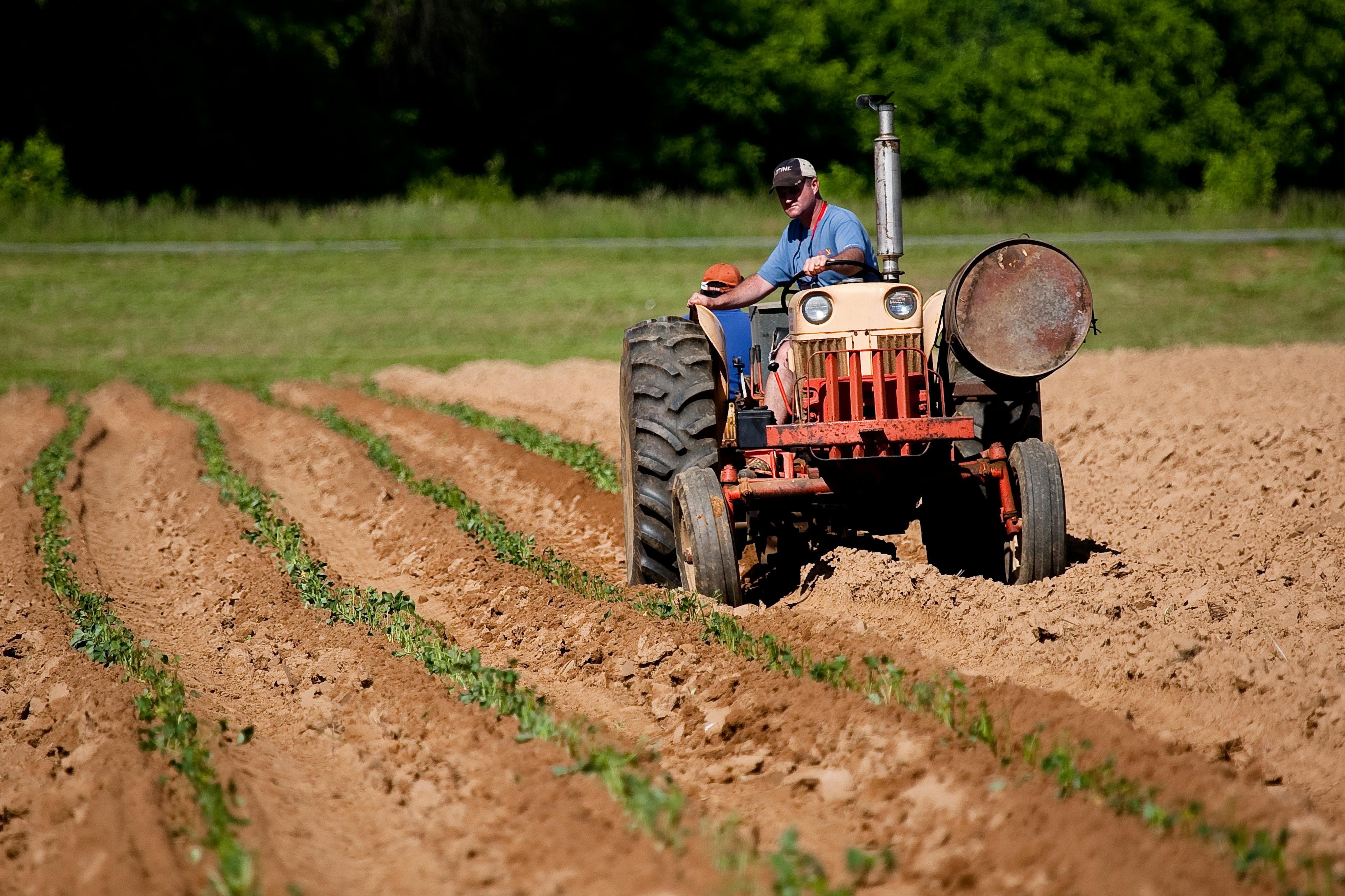 Local farm tractor working in the fields that supply our fresh ingredients